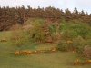 The hills outside the Kitchen and Bedroom windows (Gite 1)